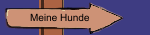 Meine Hunde