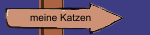 meine Katzen