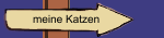 meine Katzen