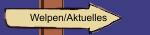 Welpen/Aktuelles